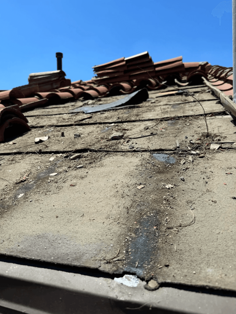 Underlayment Damage & Leak Repair photo 1